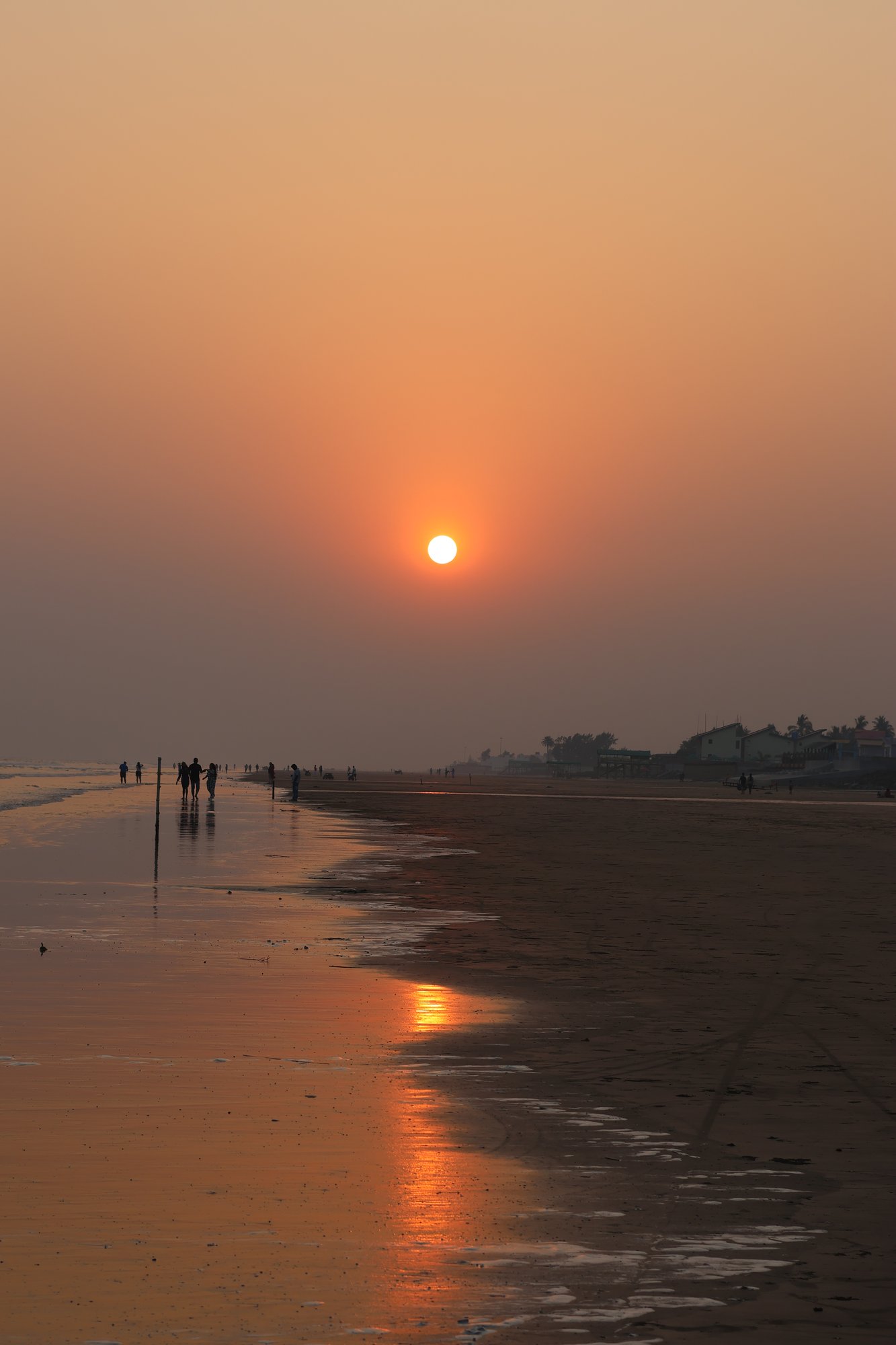Golden Hour · The Shore