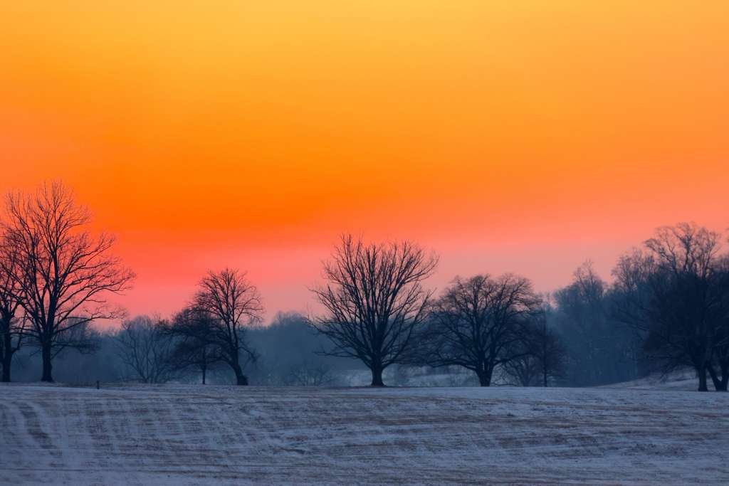 Winter Light · The Field