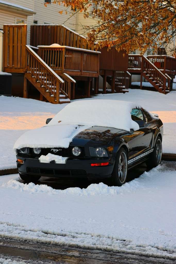 First Snow · The Mustang